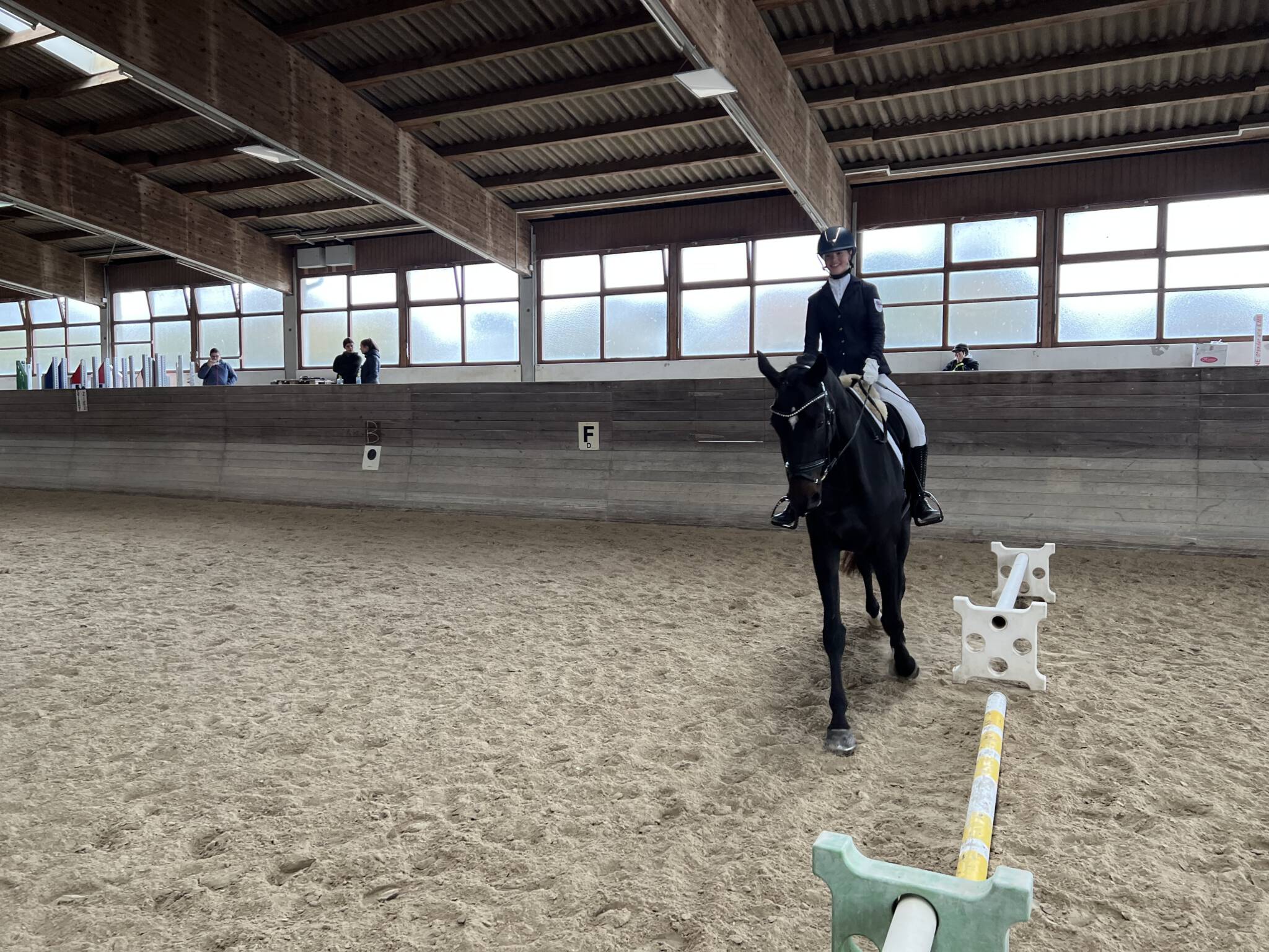 Reitabzeichen Reitanlage Brunnenfeld reitabzeichen-reitanlage-brunnenfeld